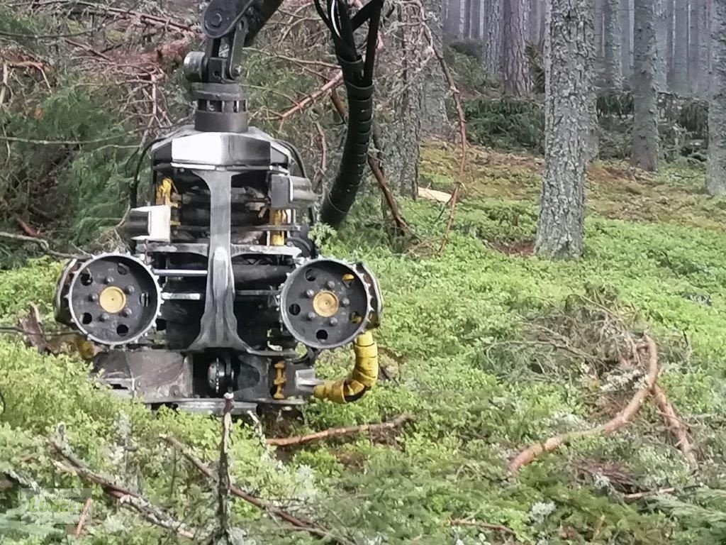 Holzvollernter du type Sampo HR 46, Gebrauchtmaschine en Kaumberg (Photo 3)