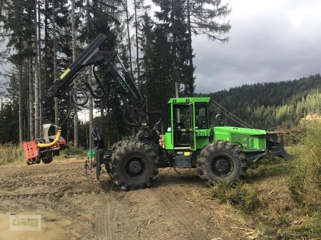 Holzvollernter tip Sonstige Equus 175 N, Gebrauchtmaschine in Kaumberg (Poză 2)