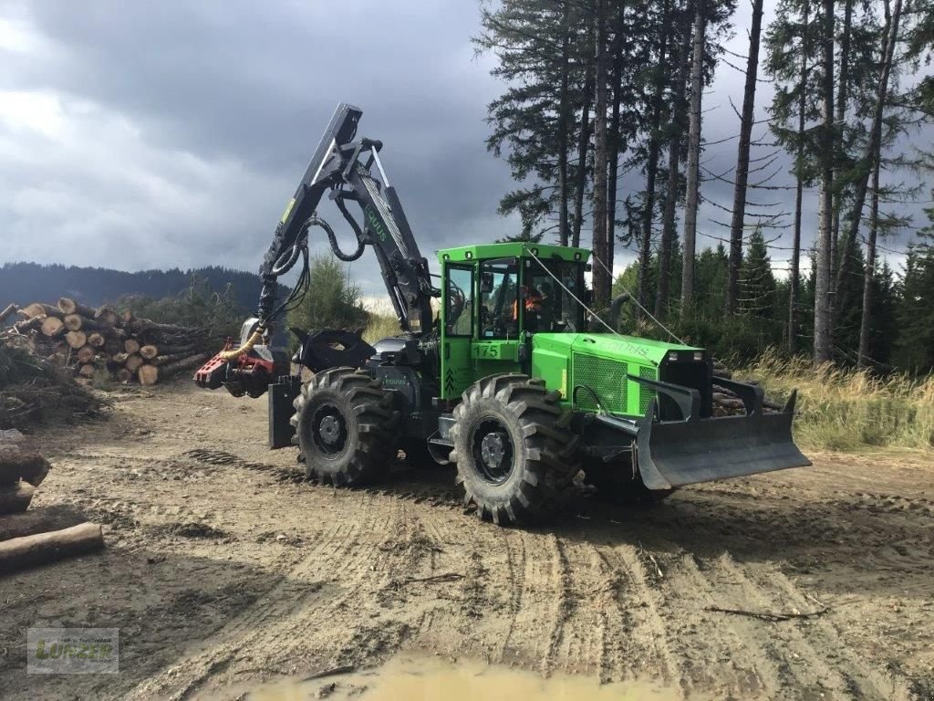 Holzvollernter van het type Sonstige Equus 175 N, Gebrauchtmaschine in Kaumberg (Foto 1)