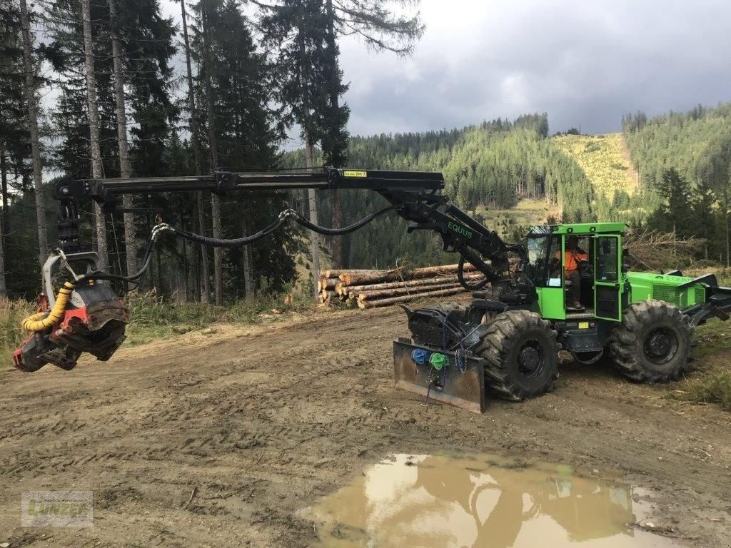 Holzvollernter a típus Sonstige Equus 175 N, Gebrauchtmaschine ekkor: Kaumberg (Kép 5)