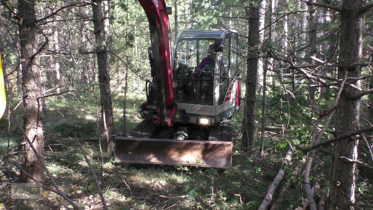 Holzvollernter typu Sonstige Jobo ST50 Bambi, Neumaschine v Kaumberg (Obrázek 11)