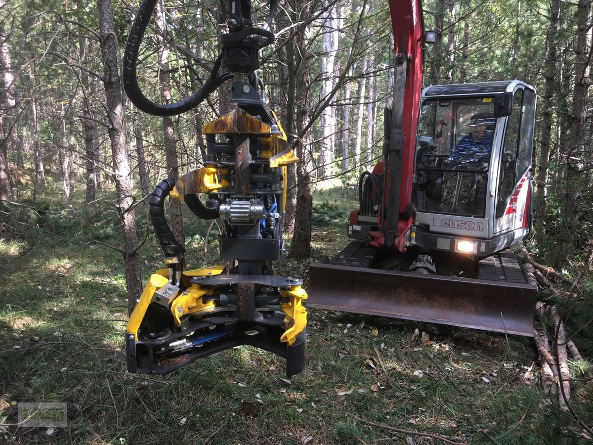 Holzvollernter van het type Sonstige Jobo ST50 Bambi, Neumaschine in Kaumberg (Foto 3)