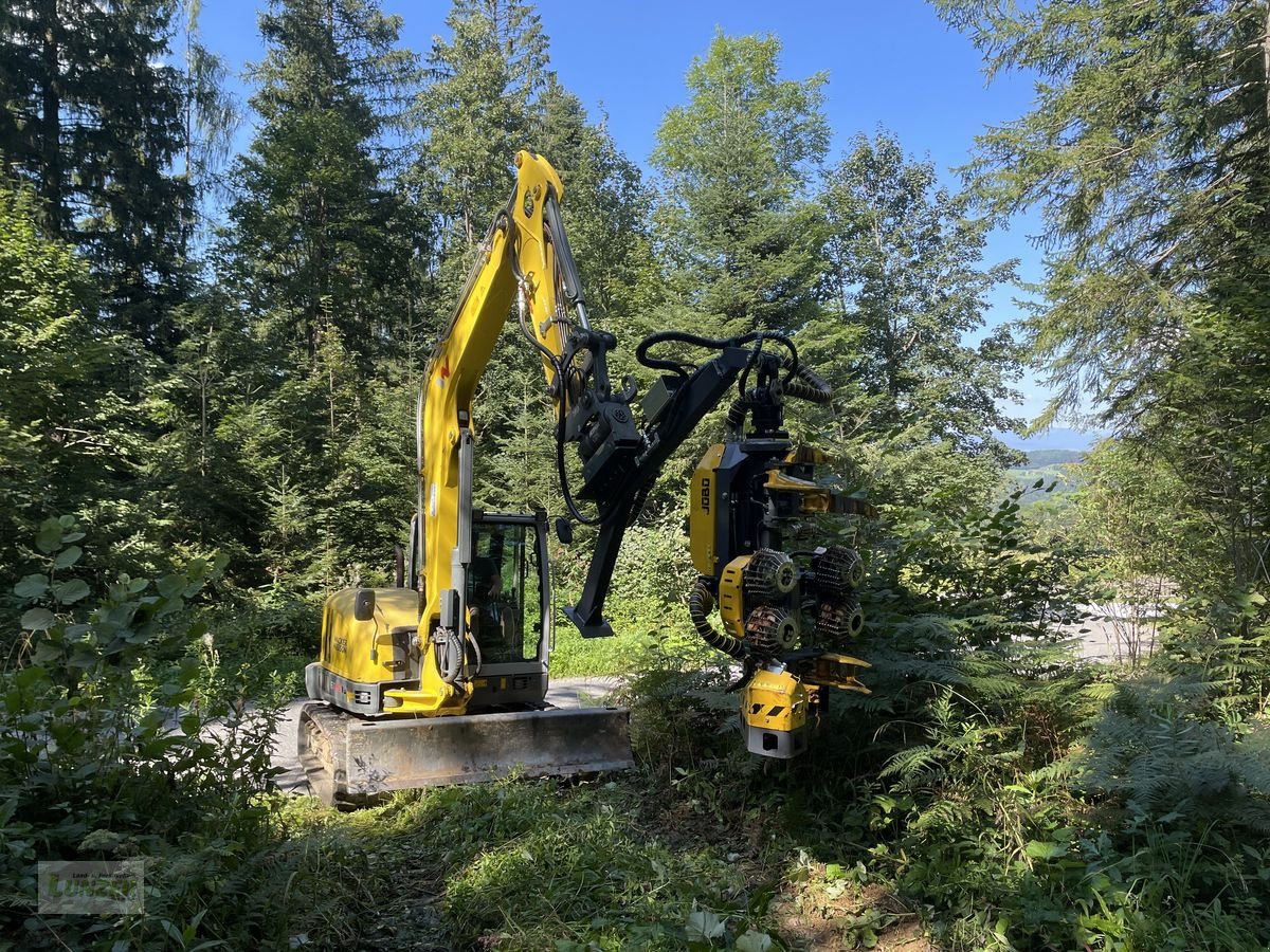 Holzvollernter del tipo Sonstige SR75 Combi, Neumaschine In Kaumberg (Immagine 8)