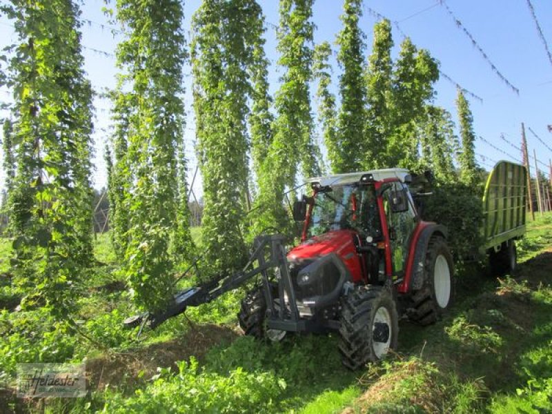 Hopfentraktor typu Heidester Hopfen Abreißgerät & Ladewagen, Neumaschine w Wildenberg (Zdjęcie 2)