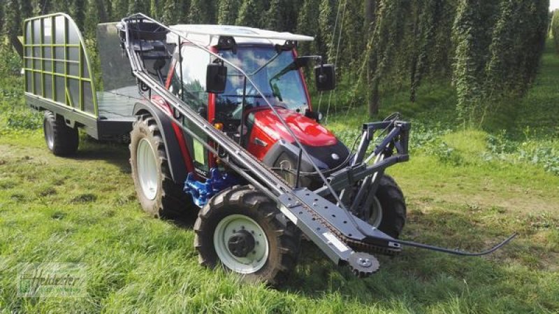 Hopfentraktor typu Heidester Hopfen Abreißgerät & Ladewagen, Neumaschine v Wildenberg (Obrázek 9)