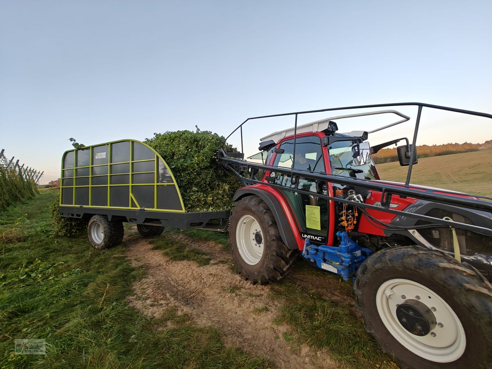 Hopfentraktor tip Heidester Hopfen Abreißgerät & Ladewagen, Neumaschine in Wildenberg (Poză 17)