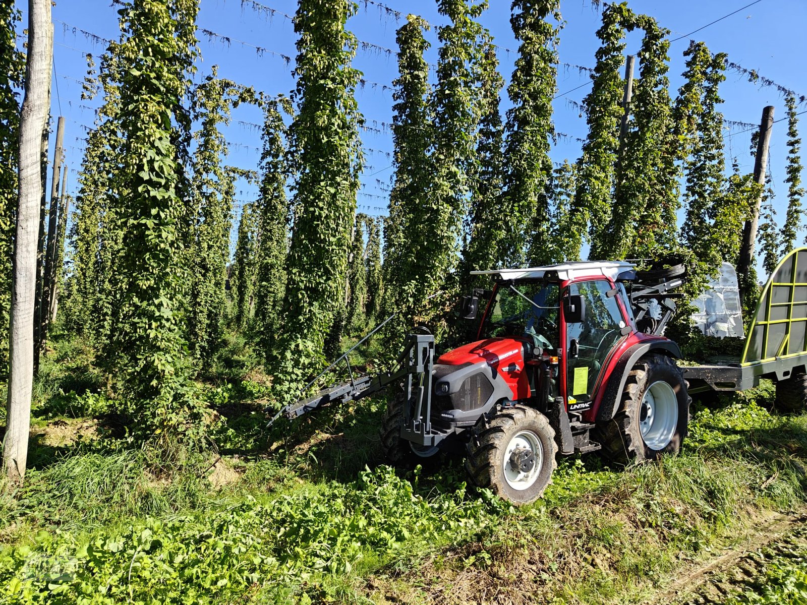 Hopfentraktor typu Heidester Hopfen Abreißgerät & Ladewagen, Neumaschine v Wildenberg (Obrázek 21)