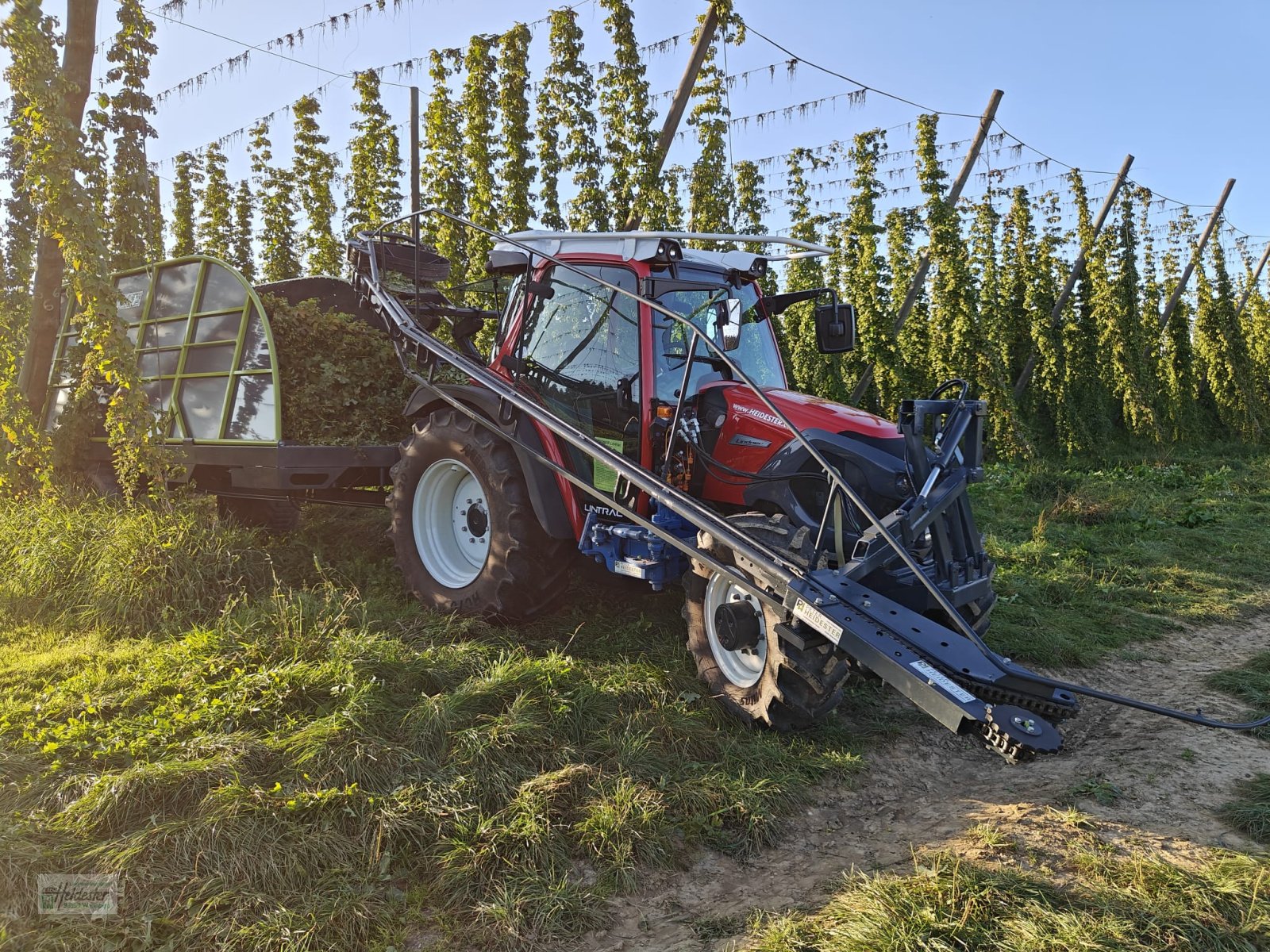 Hopfentraktor van het type Heidester Hopfen Abreißgerät & Ladewagen, Neumaschine in Wildenberg (Foto 22)