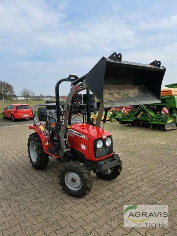 Hopfentraktor typu Massey Ferguson MF 1520 MP, Gebrauchtmaschine v Nienburg (Obrázek 13)