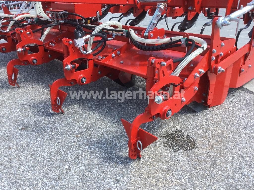 Kartoffelpflegetechnik of the type Grimme GH4, Neumaschine in Zwettl (Picture 8)