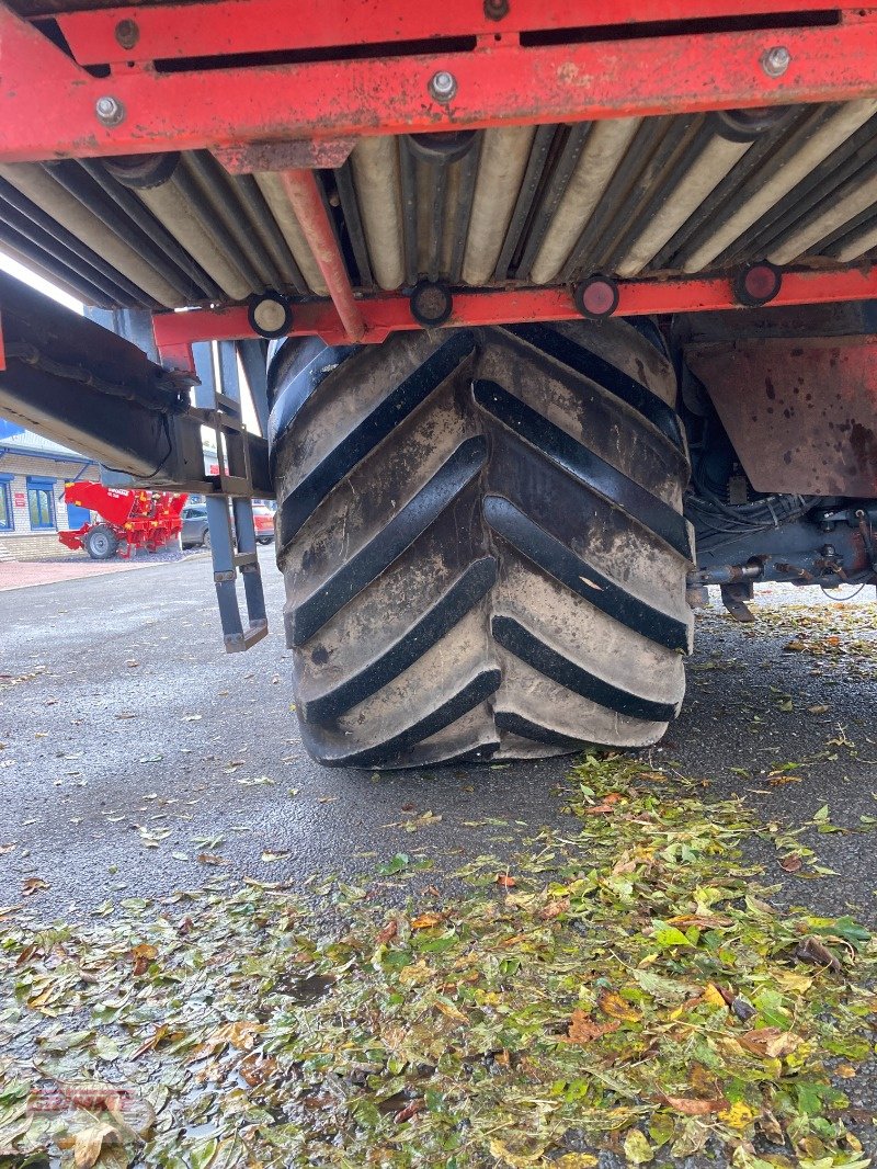 Kartoffelroder of the type Dewulf RA3060 Carrot Harvester, Gebrauchtmaschine in York (Picture 21)