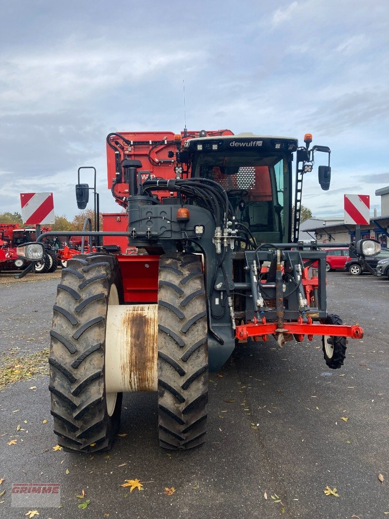 Kartoffelroder of the type Dewulf RA3060 Carrot Harvester, Gebrauchtmaschine in York (Picture 11)