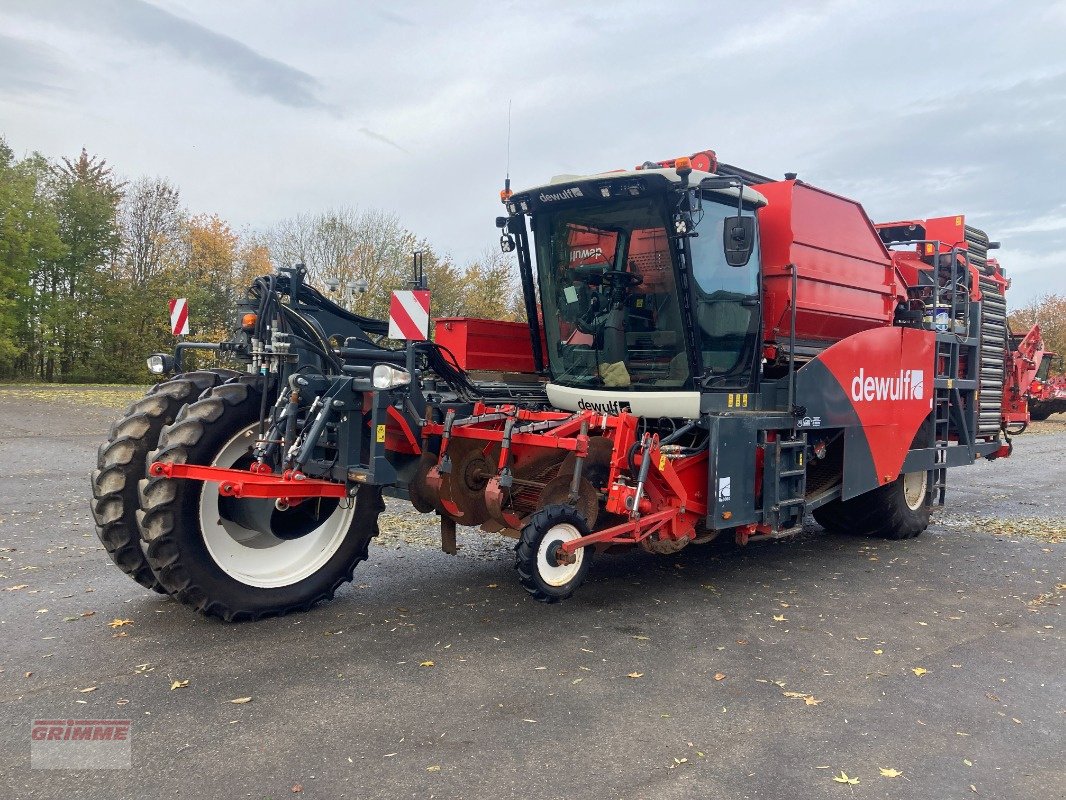 Kartoffelroder of the type Dewulf RA3060 Carrot Harvester, Gebrauchtmaschine in York (Picture 18)