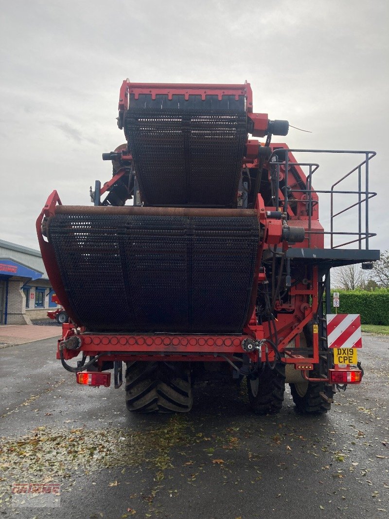 Kartoffelroder of the type Dewulf RA3060 Carrot Harvester, Gebrauchtmaschine in York (Picture 15)