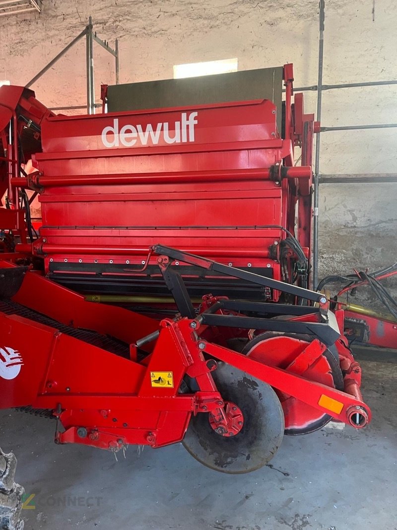 Kartoffelroder του τύπου Dewulf Rio40 (Grimme se 75–40) Neuwertig!, Gebrauchtmaschine σε Großenhain (Φωτογραφία 20)