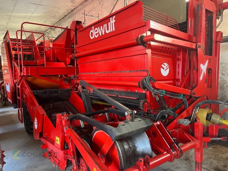 Kartoffelroder des Typs Dewulf Rio40 (Grimme se 75–40) Neuwertig!, Gebrauchtmaschine in Großenhain