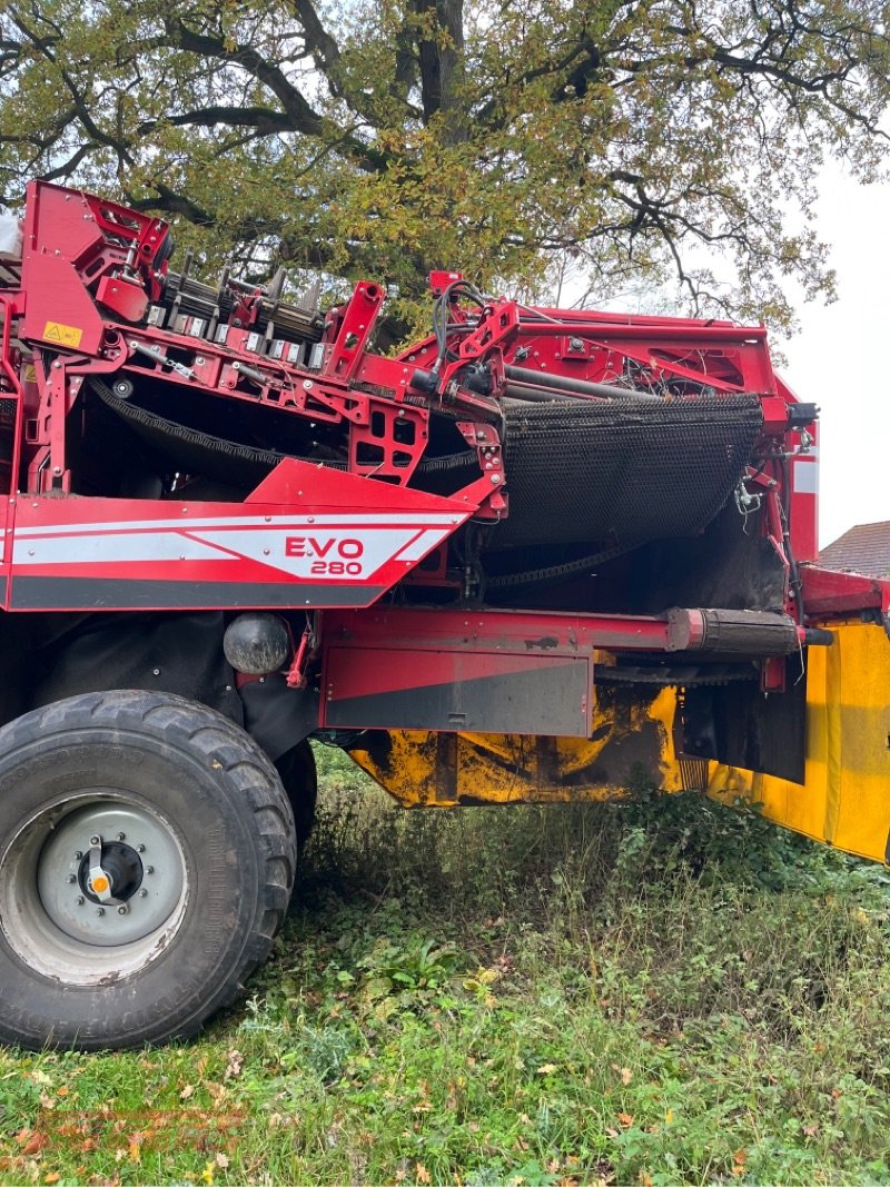 Kartoffelroder za tip Grimme EVO 280 ClodSep, Gebrauchtmaschine u Suhlendorf (Slika 7)