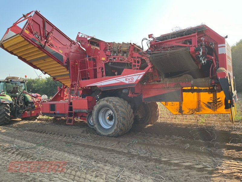 Kartoffelroder of the type Grimme EVO 280 ClodSep, Gebrauchtmaschine in Suhlendorf (Picture 2)