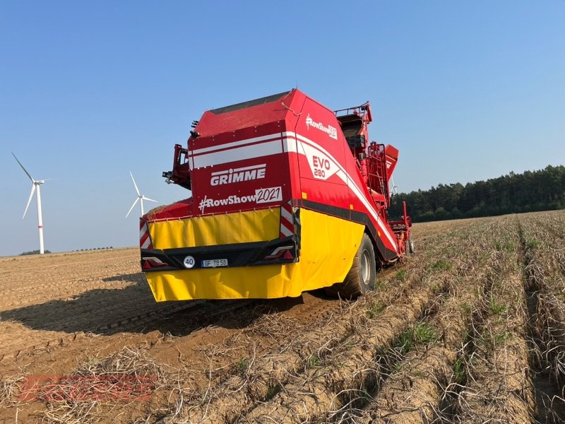 Kartoffelroder of the type Grimme EVO 280 ClodSep, Gebrauchtmaschine in Suhlendorf (Picture 4)