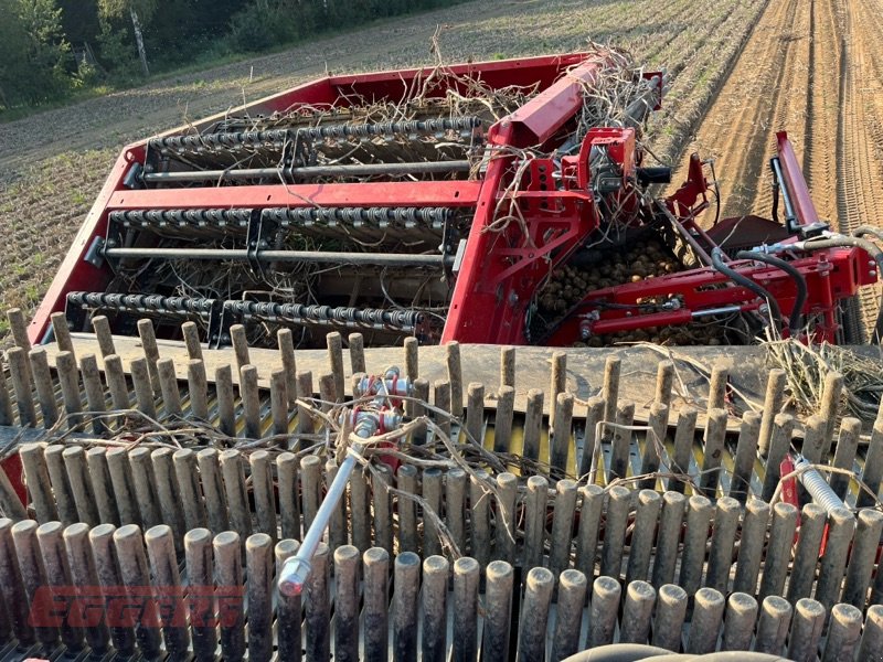 Kartoffelroder of the type Grimme EVO 280 ClodSep, Gebrauchtmaschine in Suhlendorf (Picture 13)