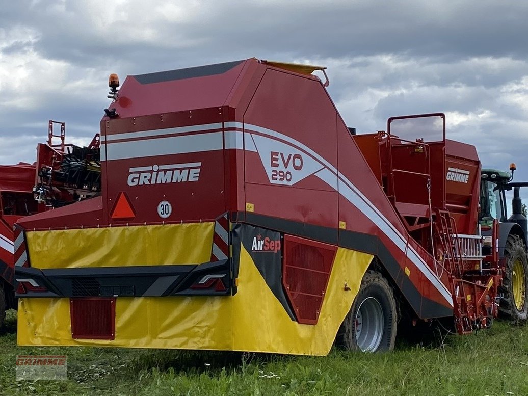 Kartoffelroder of the type Grimme EVO 290 AirSep, Gebrauchtmaschine in Höganäs (Picture 4)