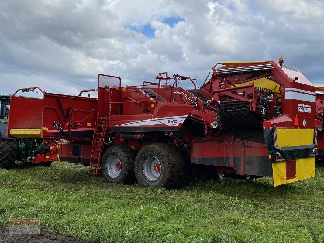 Kartoffelroder of the type Grimme EVO 290 AirSep, Gebrauchtmaschine in Höganäs (Picture 3)