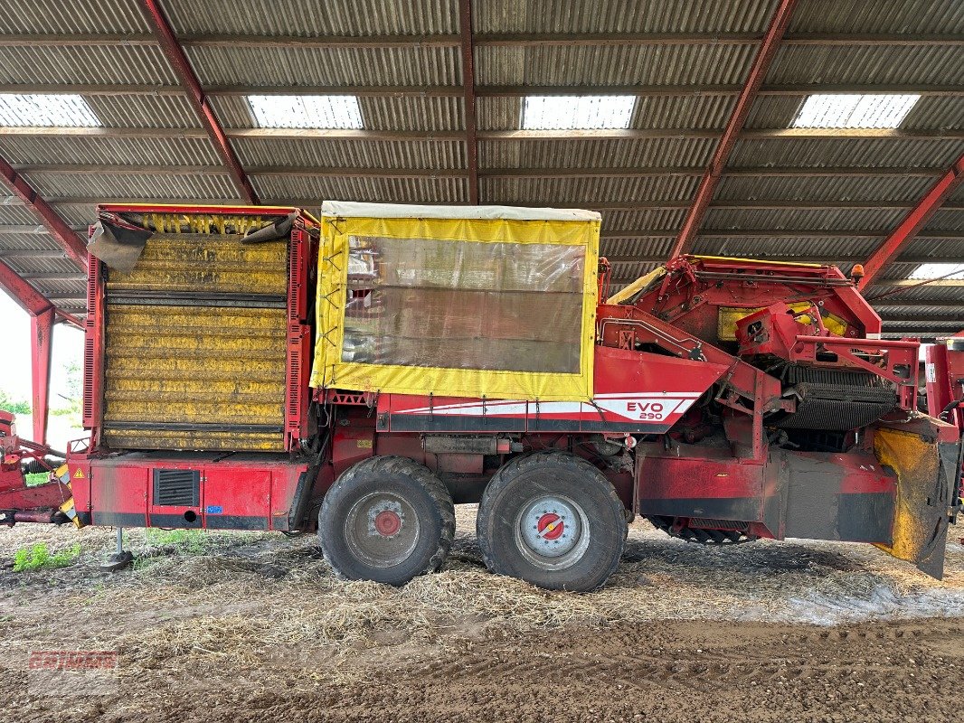 Kartoffelroder du type Grimme EVO 290 AirSep, Gebrauchtmaschine en Rødkærsbro (Photo 3)