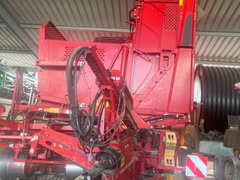 Kartoffelroder of the type Grimme EVO 290 ClodSep, Gebrauchtmaschine in Suhlendorf