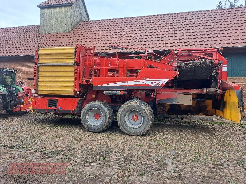 Kartoffelroder Türe ait Grimme EVO 290 EasySep, Gebrauchtmaschine içinde Suhlendorf