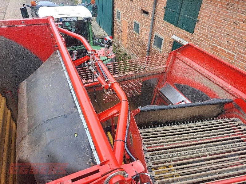 Kartoffelroder of the type Grimme EVO 290 EasySep, Gebrauchtmaschine in Suhlendorf (Picture 3)