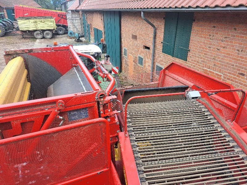 Kartoffelroder of the type Grimme EVO 290 EasySep, Gebrauchtmaschine in Suhlendorf (Picture 4)