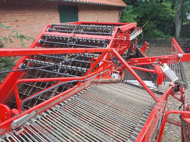 Kartoffelroder of the type Grimme EVO 290 EasySep, Gebrauchtmaschine in Suhlendorf (Picture 8)