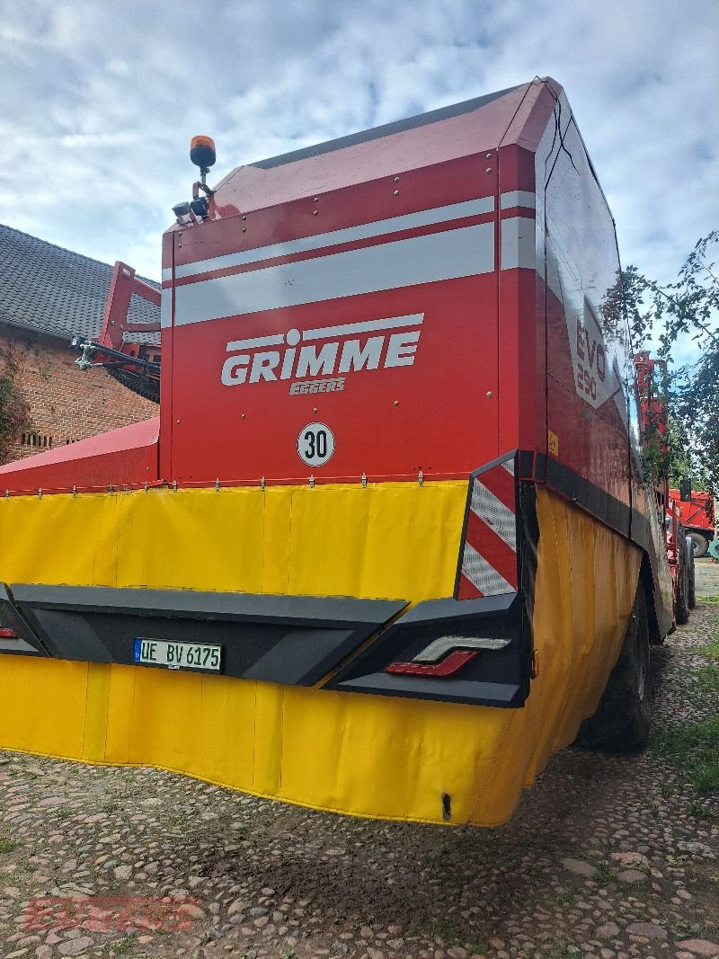 Kartoffelroder of the type Grimme EVO 290 EasySep, Gebrauchtmaschine in Suhlendorf (Picture 9)