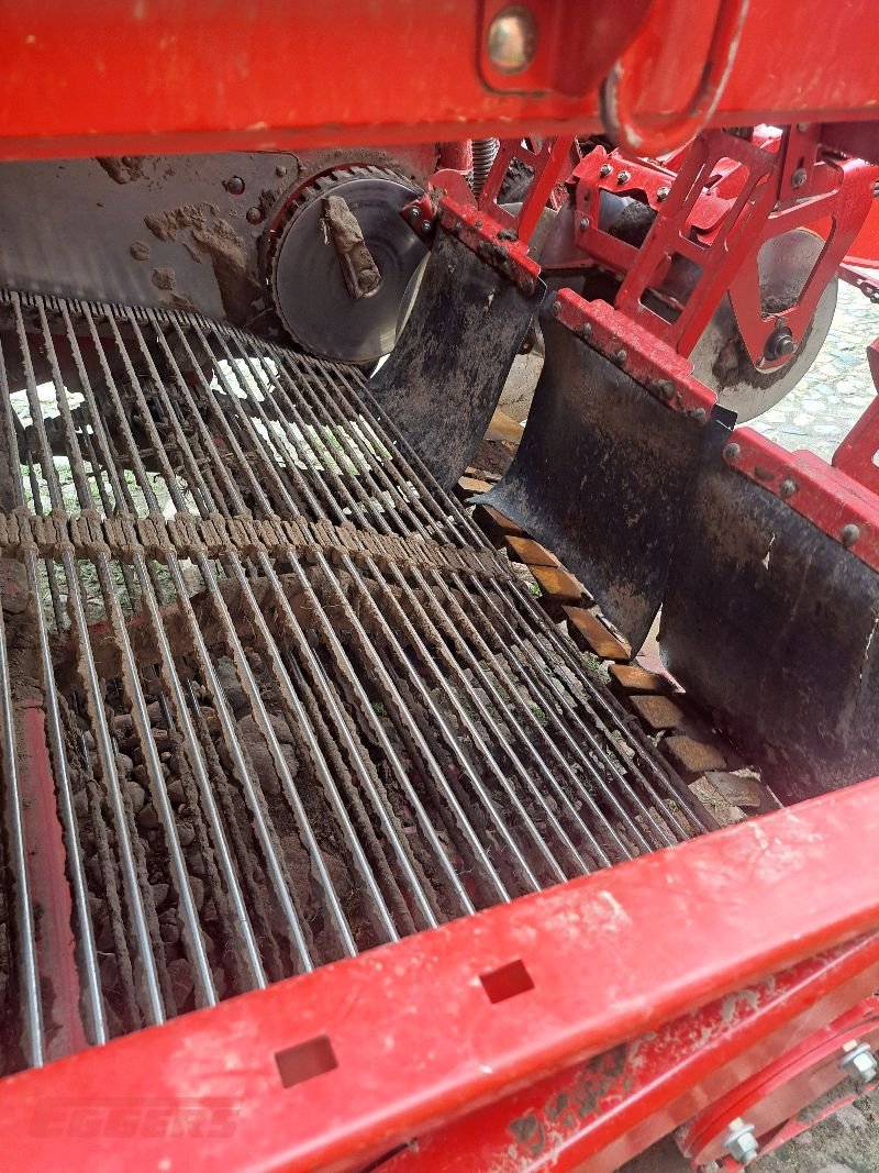 Kartoffelroder of the type Grimme EVO 290 EasySep, Gebrauchtmaschine in Suhlendorf (Picture 10)