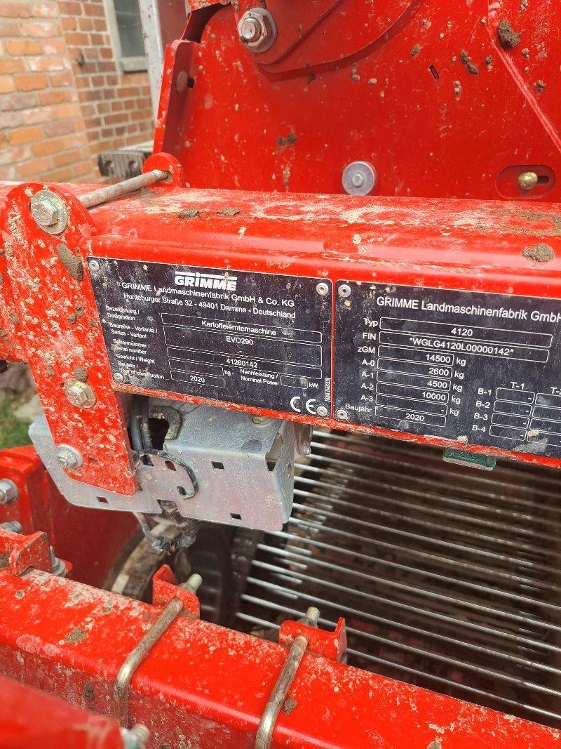 Kartoffelroder of the type Grimme EVO 290 EasySep, Gebrauchtmaschine in Suhlendorf (Picture 12)