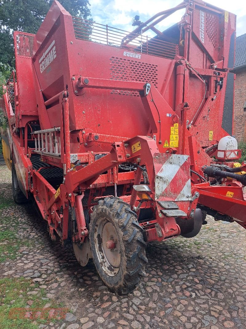 Kartoffelroder of the type Grimme EVO 290 EasySep, Gebrauchtmaschine in Suhlendorf (Picture 13)