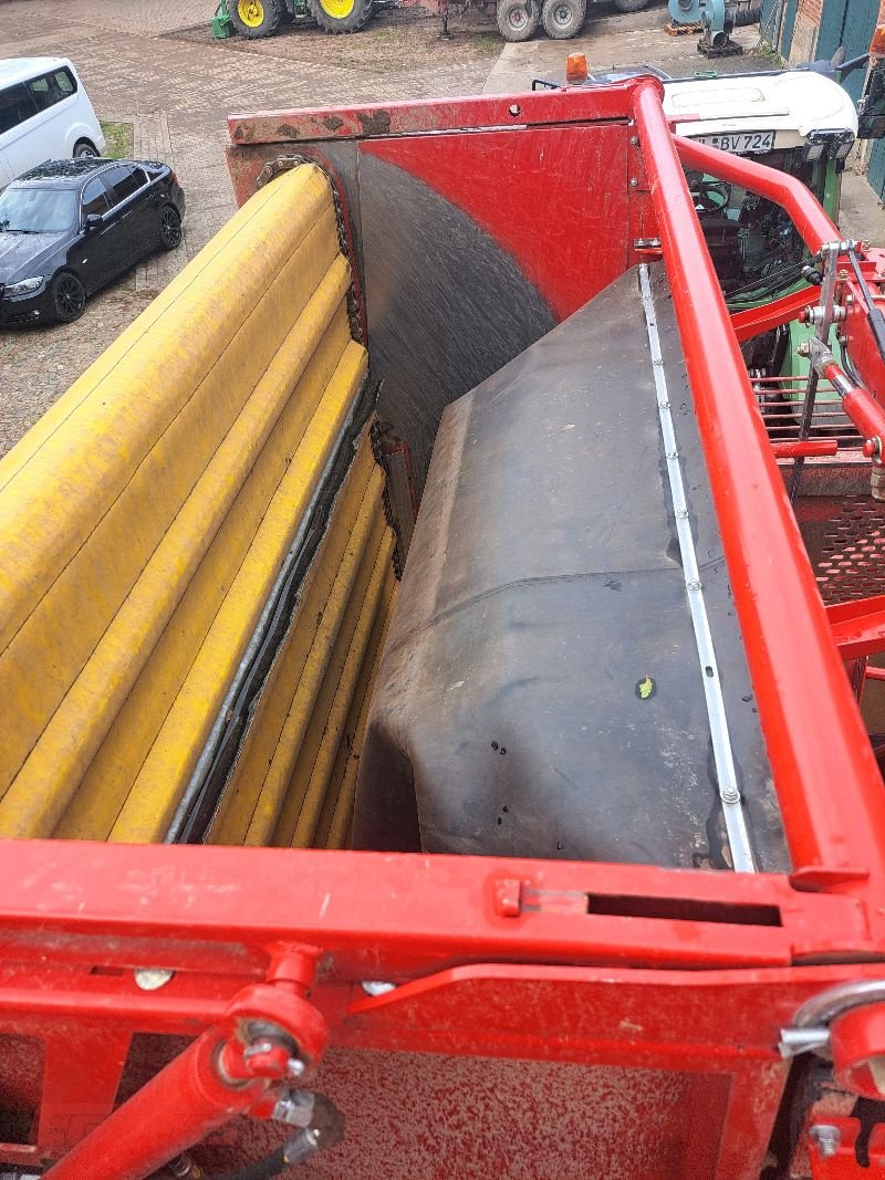 Kartoffelroder of the type Grimme EVO 290 EasySep, Gebrauchtmaschine in Suhlendorf (Picture 2)