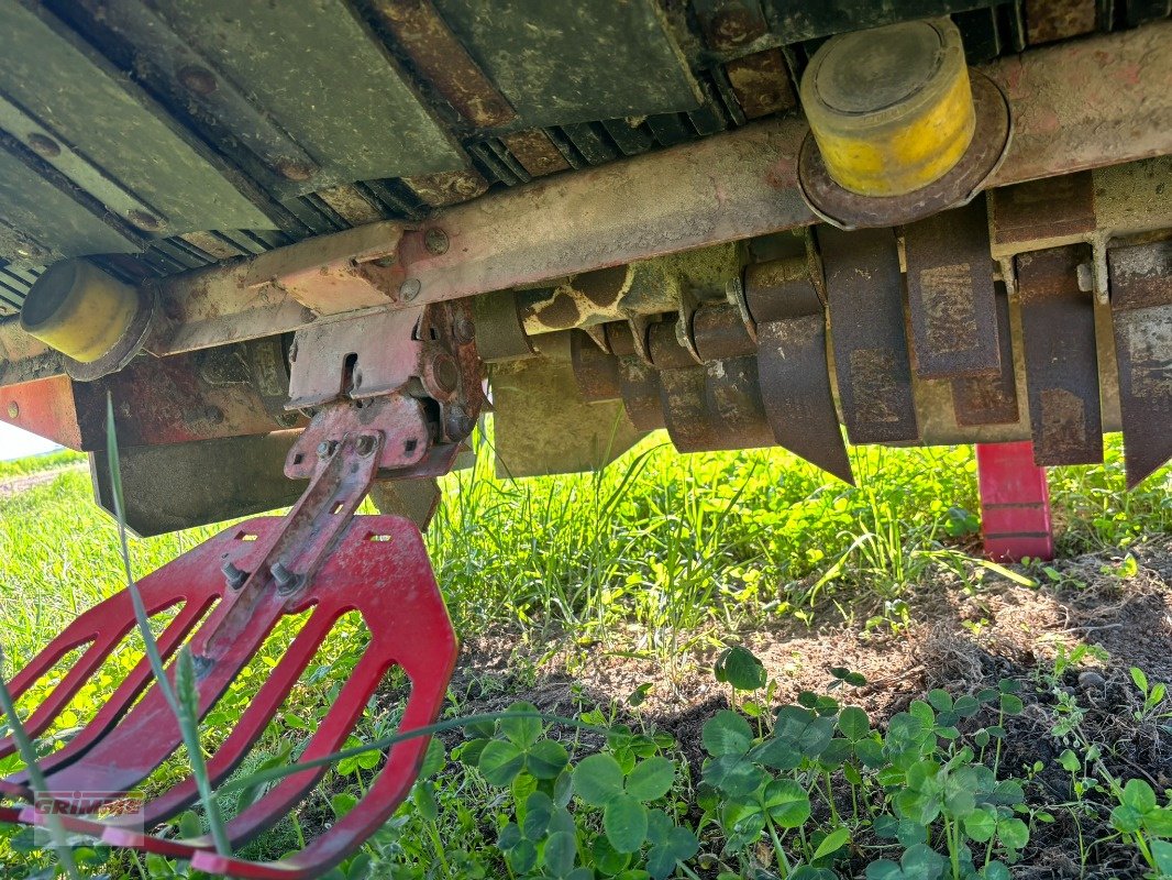 Kartoffelroder des Typs Grimme HT-200, Gebrauchtmaschine in Rødkærsbro (Bild 5)