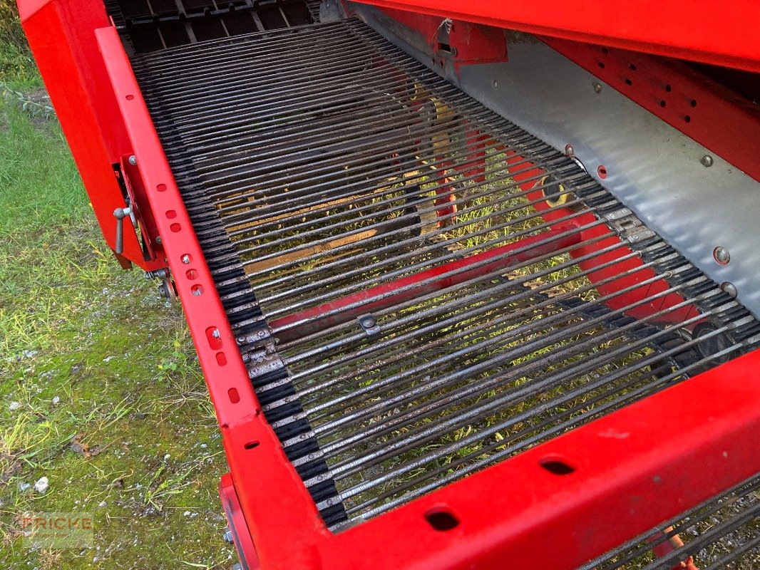 Kartoffelroder tip Grimme SE 140 SB, Gebrauchtmaschine in Bockel - Gyhum (Poză 4)