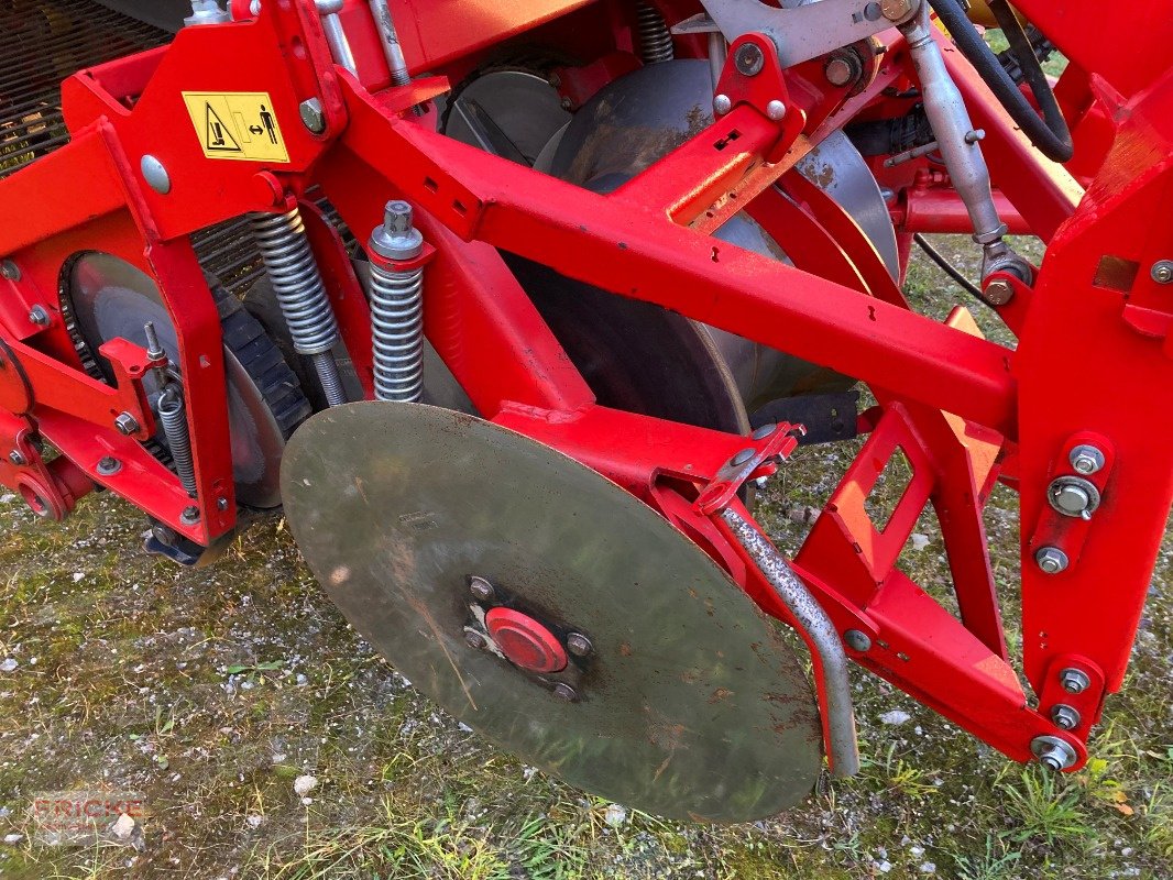 Kartoffelroder du type Grimme SE 140 SB, Gebrauchtmaschine en Bockel - Gyhum (Photo 5)