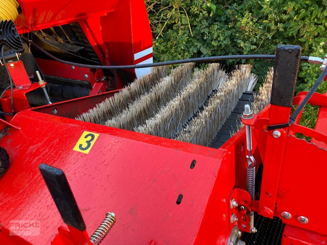 Kartoffelroder du type Grimme SE 140 SB, Gebrauchtmaschine en Bockel - Gyhum (Photo 15)