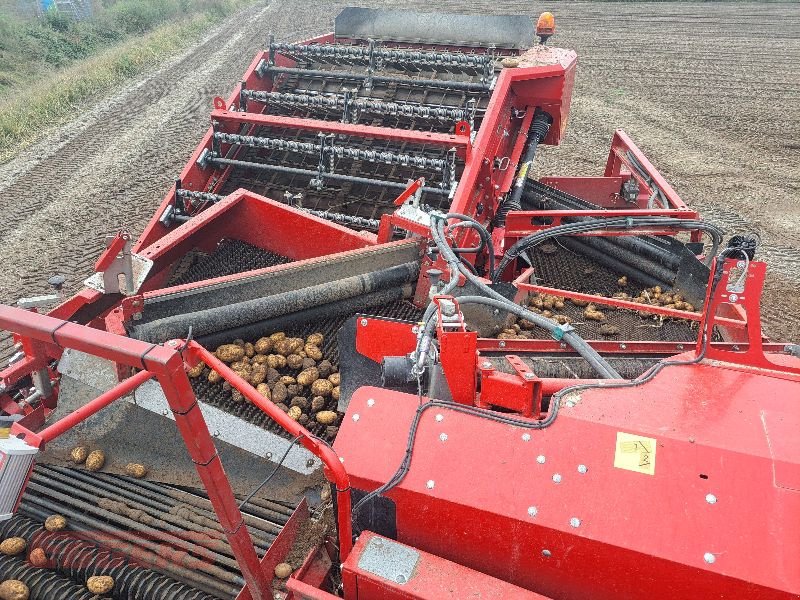 Kartoffelroder of the type Grimme SE 150-60 NB, Gebrauchtmaschine in Suhlendorf (Picture 5)