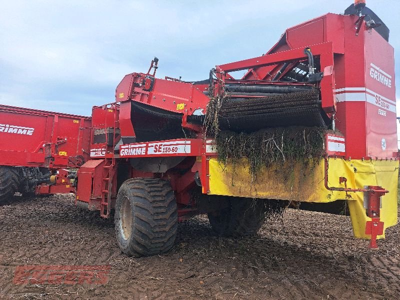 Kartoffelroder des Typs Grimme SE 150-60 NB, Gebrauchtmaschine in Suhlendorf (Bild 1)