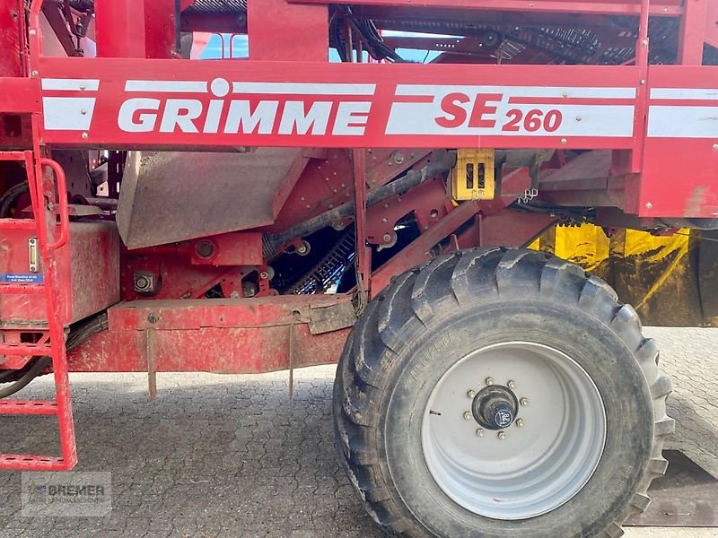 Kartoffelroder van het type Grimme SE 260 UB, erst 480 ha gerodet, Gebrauchtmaschine in Asendorf (Foto 5)