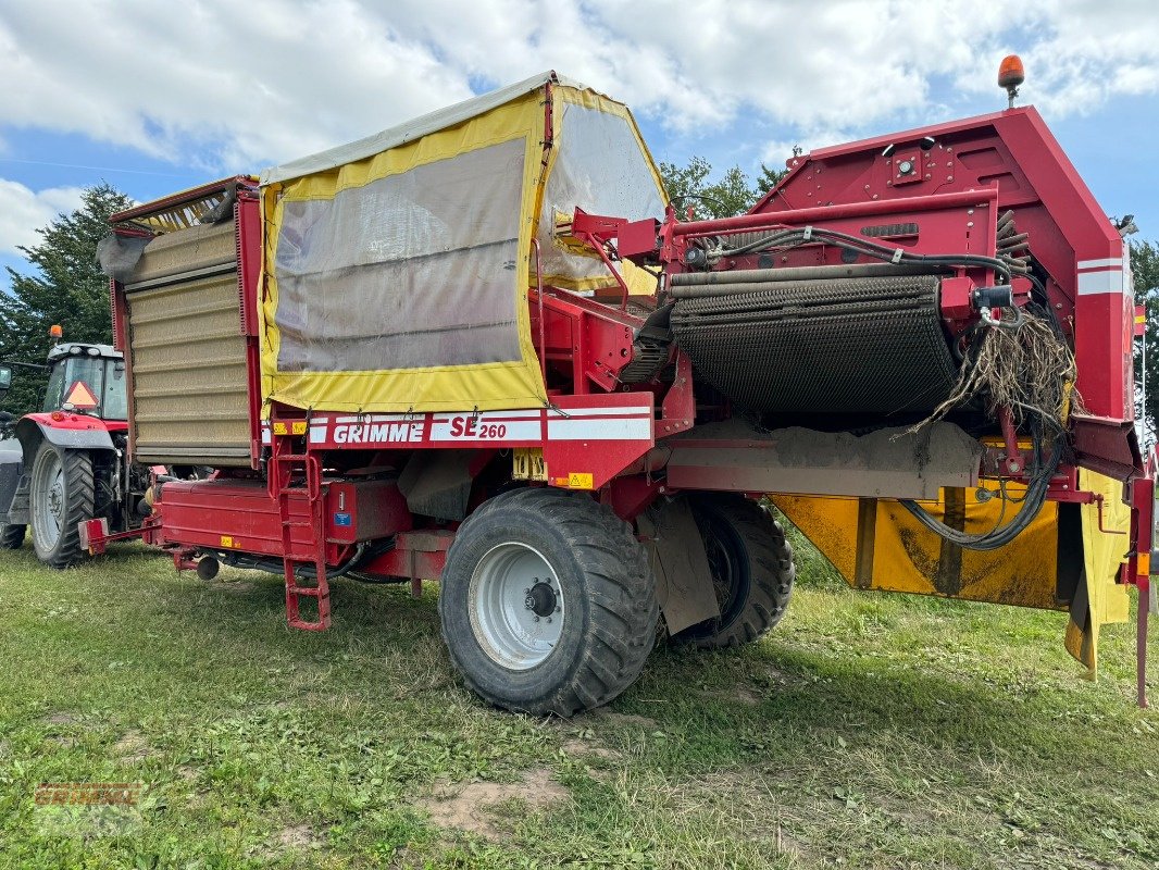 Kartoffelroder του τύπου Grimme SE-260-UB, Gebrauchtmaschine σε Rødkærsbro (Φωτογραφία 4)