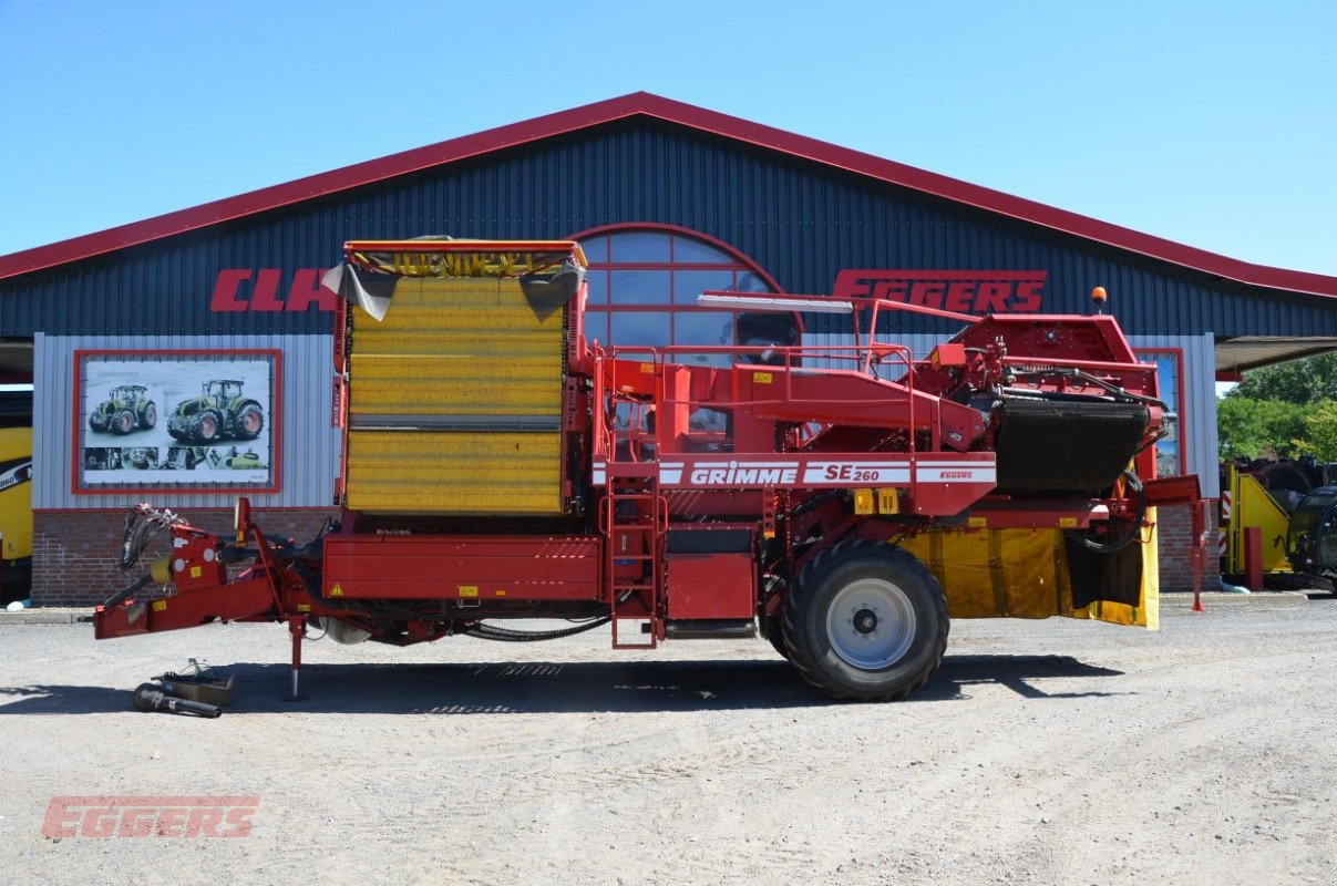 Kartoffelroder du type Grimme SE 260 UB, Gebrauchtmaschine en Suhlendorf (Photo 1)