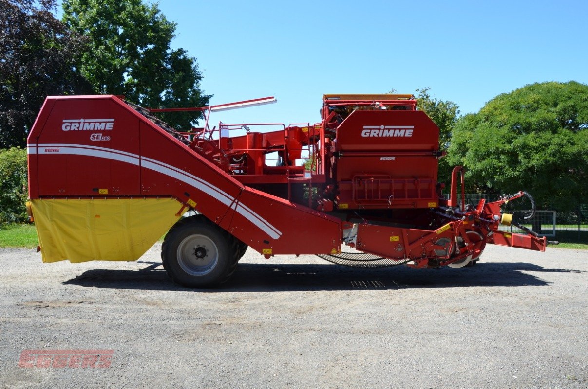 Kartoffelroder du type Grimme SE 260 UB, Gebrauchtmaschine en Suhlendorf (Photo 4)