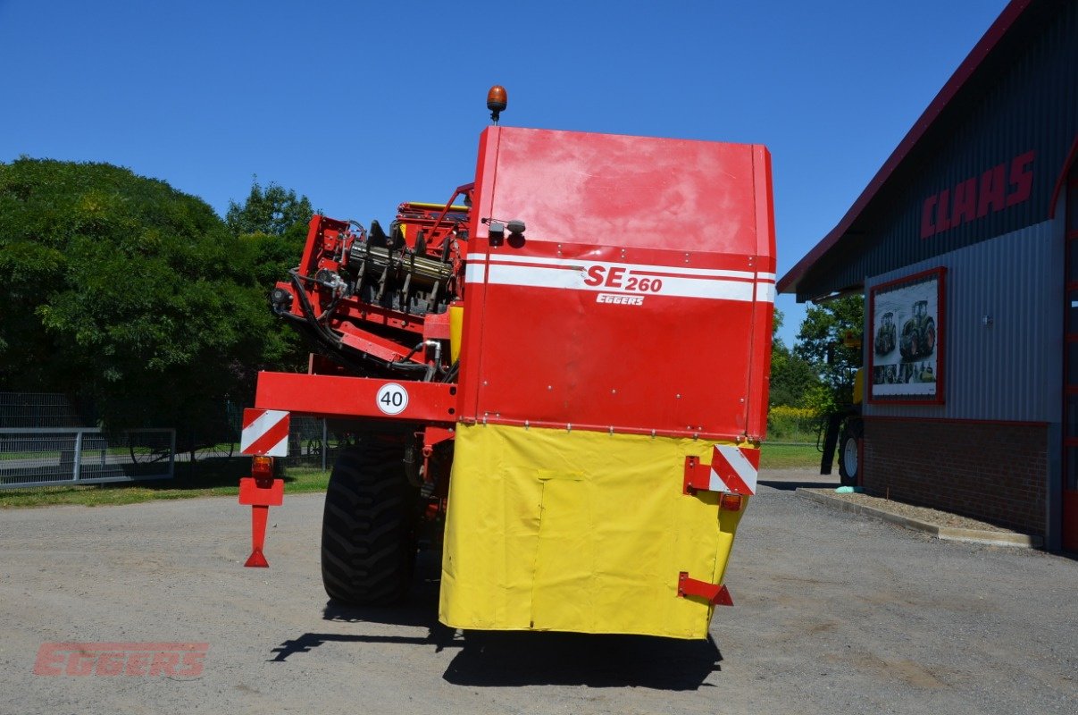 Kartoffelroder du type Grimme SE 260 UB, Gebrauchtmaschine en Suhlendorf (Photo 5)