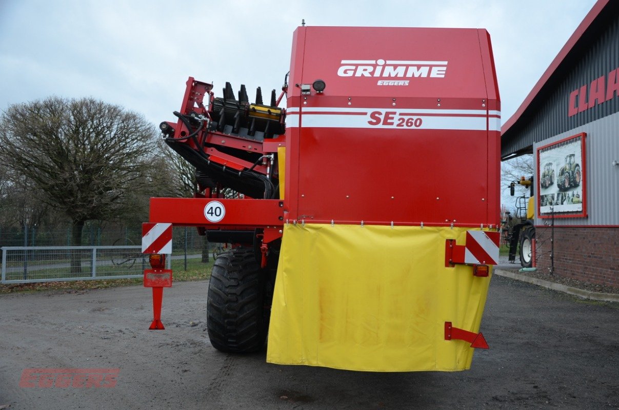 Kartoffelroder от тип Grimme SE 260 UB, Gebrauchtmaschine в Suhlendorf (Снимка 4)