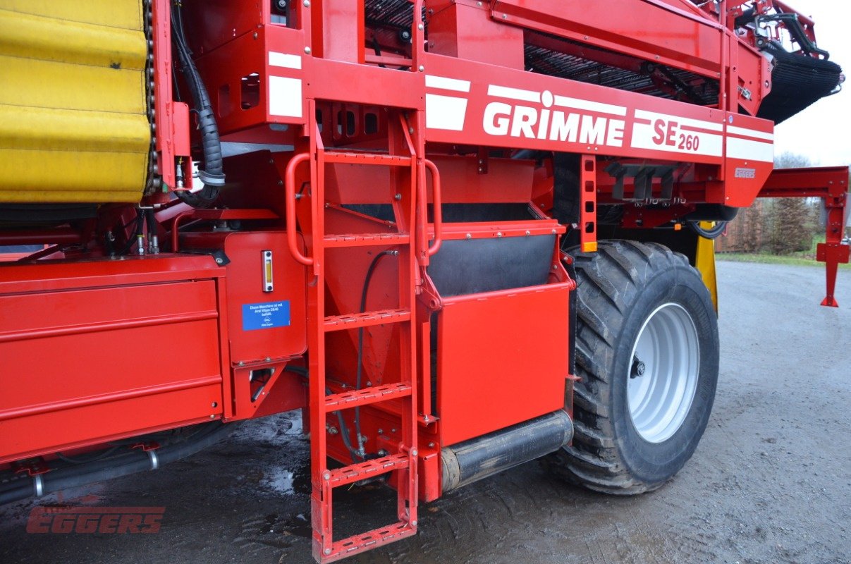 Kartoffelroder от тип Grimme SE 260 UB, Gebrauchtmaschine в Suhlendorf (Снимка 19)